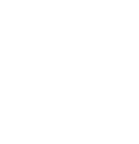 Voice Academy NYC